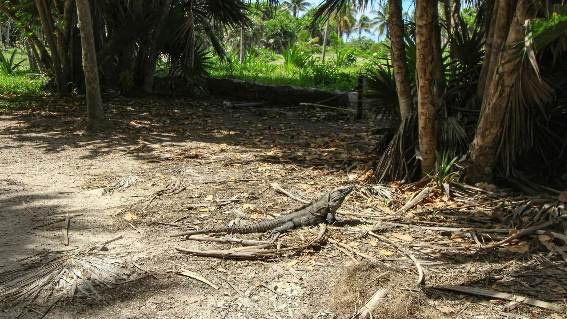 Appartamento Amelia 104 Tulum Messico